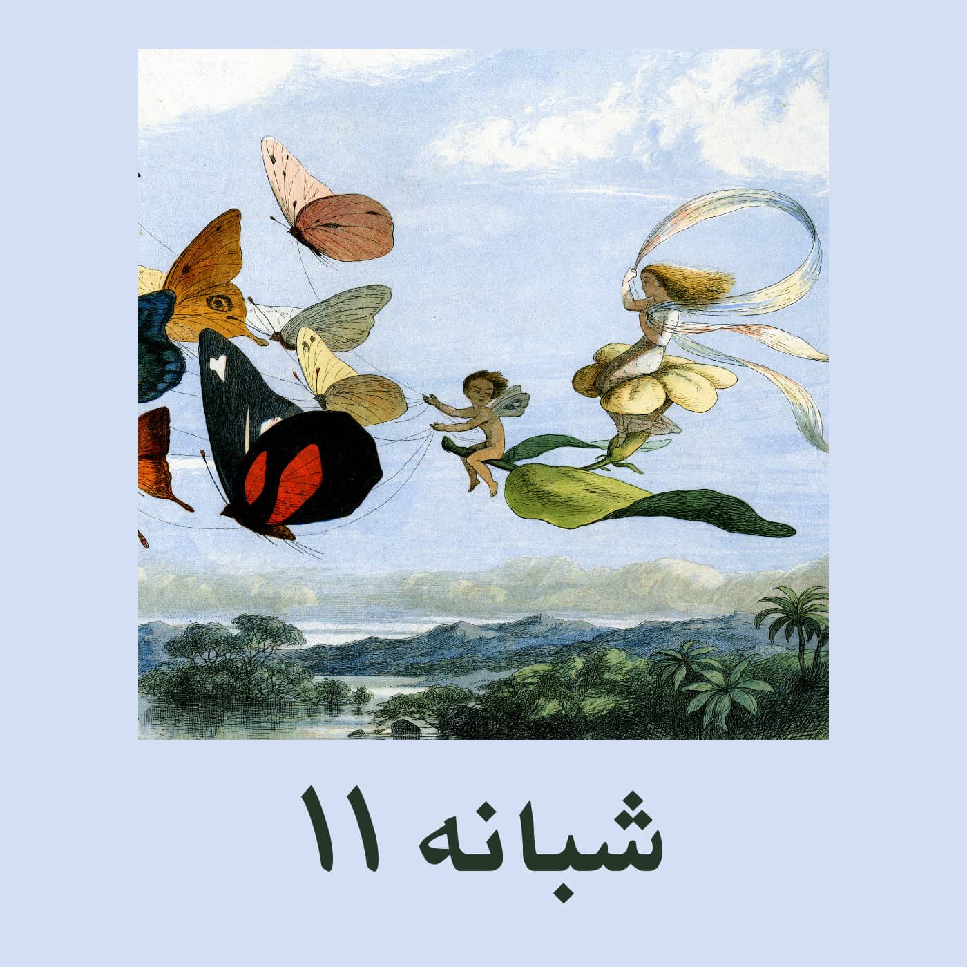 شبانه ۱۱ - انسان کوچولو